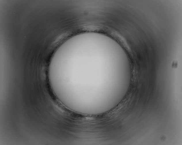 X0000101480114200807071252
