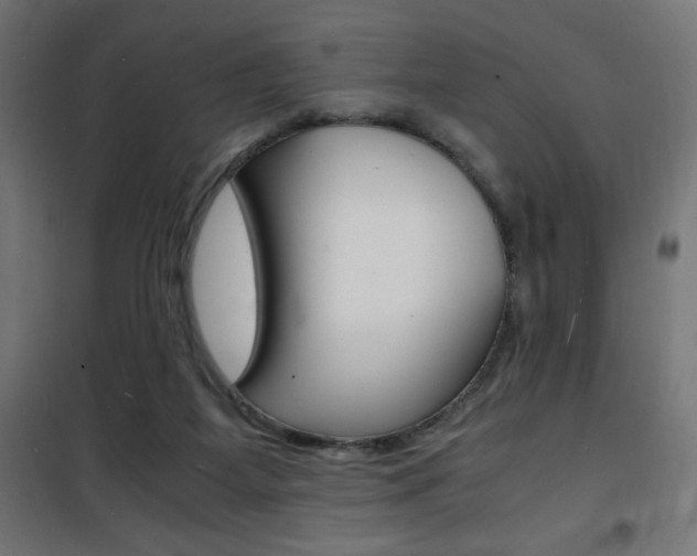 X0000101480115200807071252