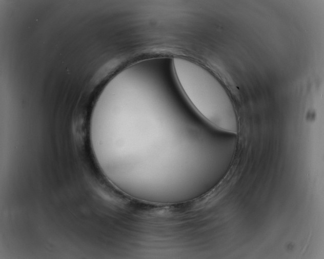 X0000101480116200807071252