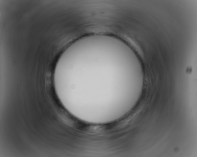 X0000101480117200807071252