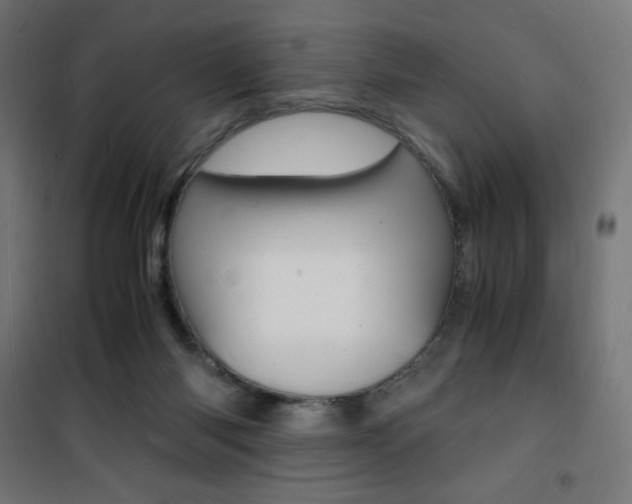 X0000101480118200807071252