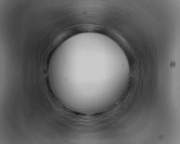 X0000101480119200807071252