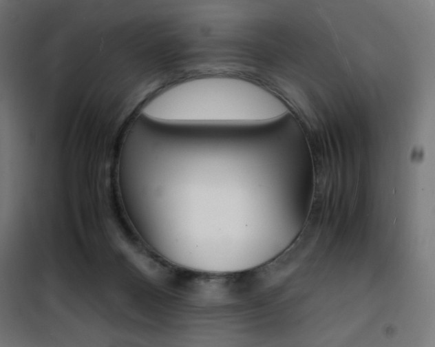 X0000101480120200807071252