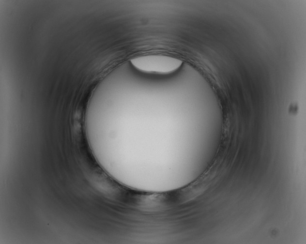 X0000101480122200807071252
