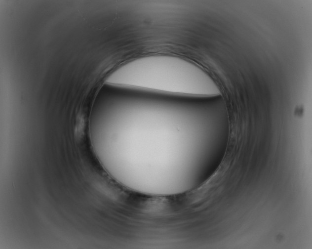 X0000101480124200807071252
