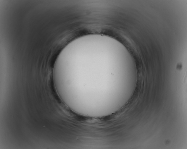 X0000101480125200807071252