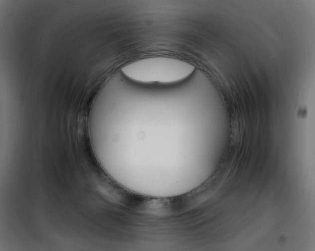 X0000101480126200807071252