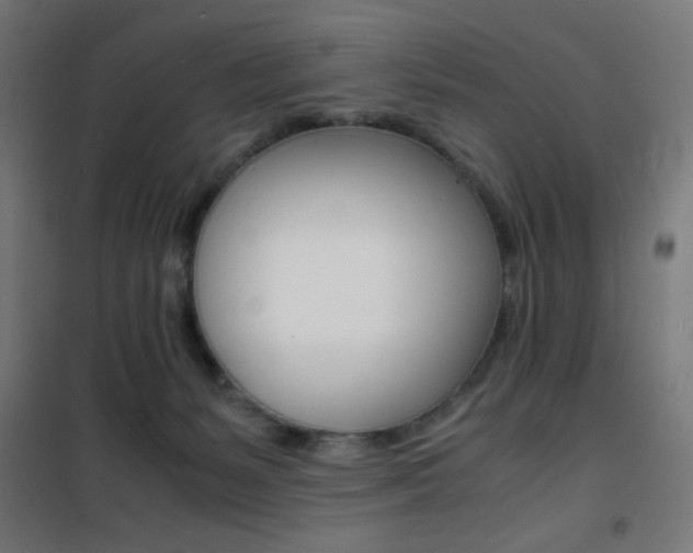 X0000101480127200807071252