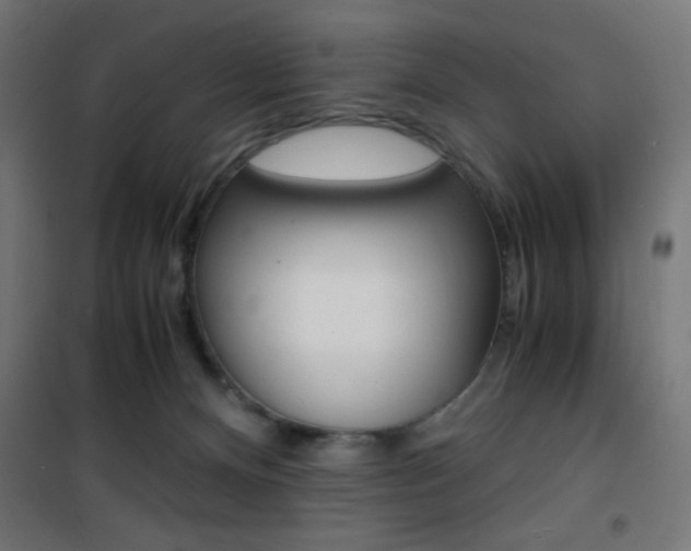 X0000101480128200807071252