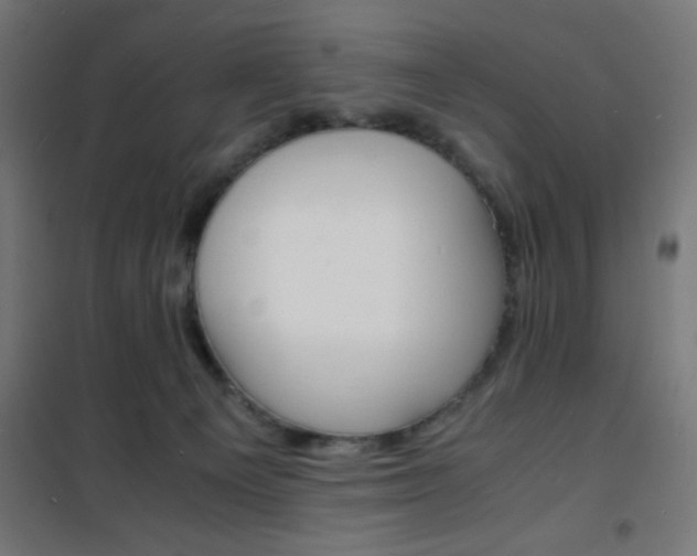 X0000101480129200807071252