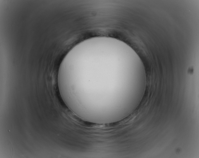 X0000101480131200807071252