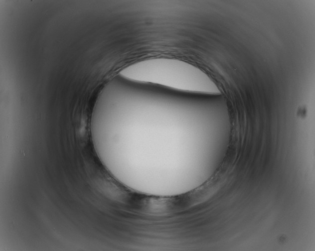 X0000101480134200807071252