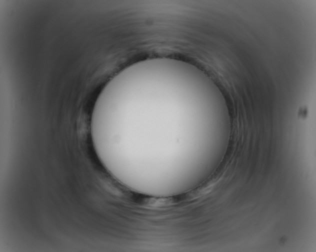 X0000101480135200807071252