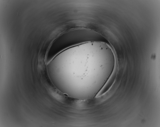 X0000101480136200807071252