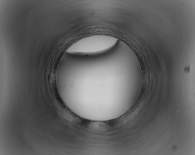 X0000101480137200807071252
