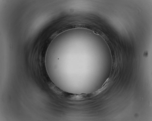 X0000101480140200807071252