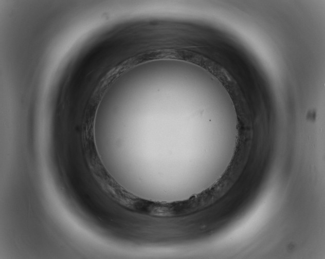 X0000101480143200807071252