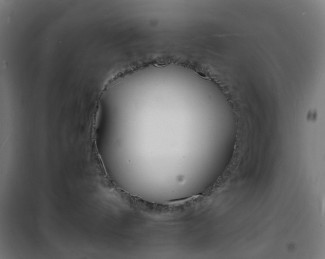 X0000101480144200807071252
