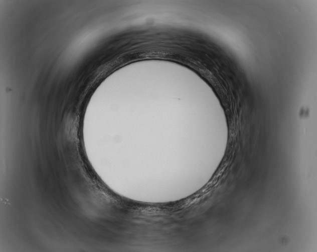 X0000101480146200807071251