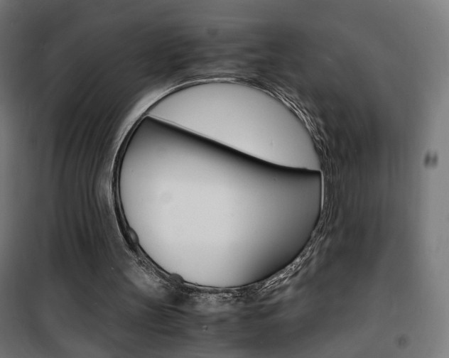 X0000101480147200807071251