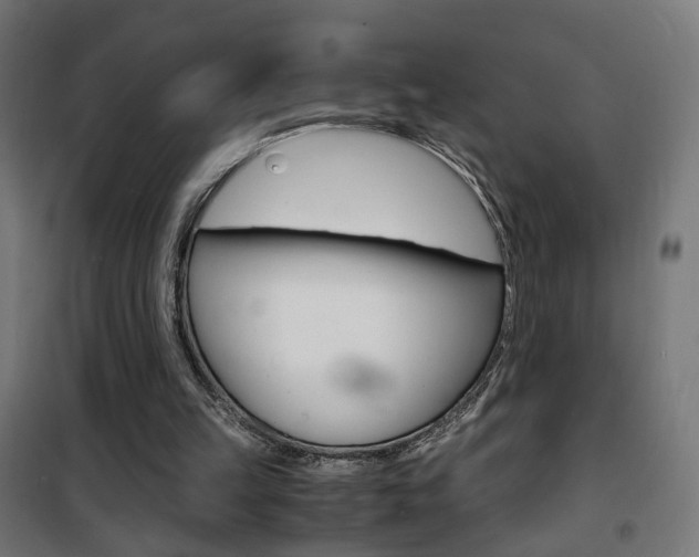 X0000101480149200807071251
