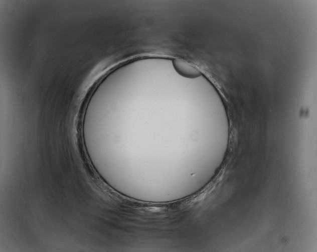 X0000101480151200807071251
