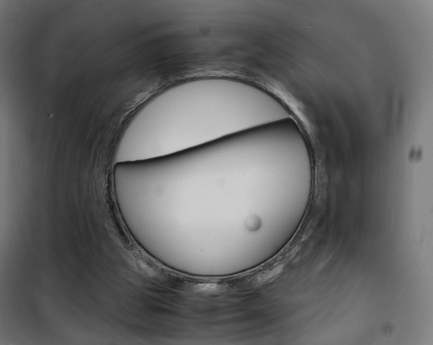 X0000101480153200807071251