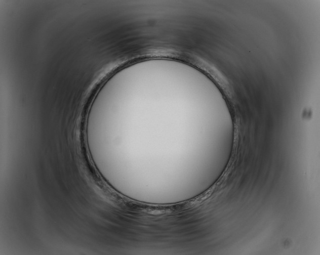 X0000101480155200807071251