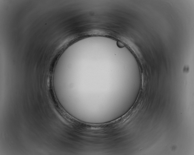 X0000101480157200807071251