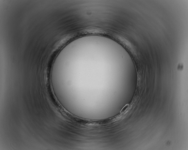 X0000101480158200807071251
