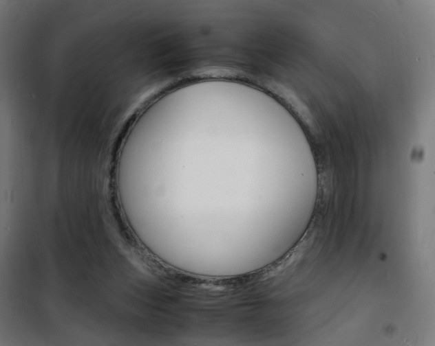 X0000101480159200807071251