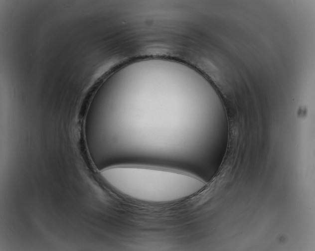X0000101480160200807071251