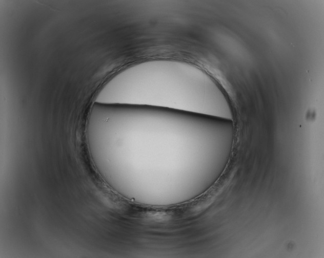 X0000101480161200807071251