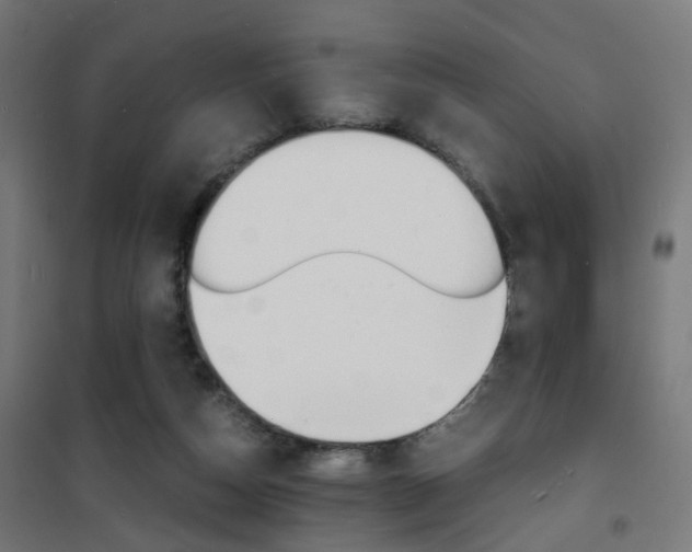 X0000101480162200807071251