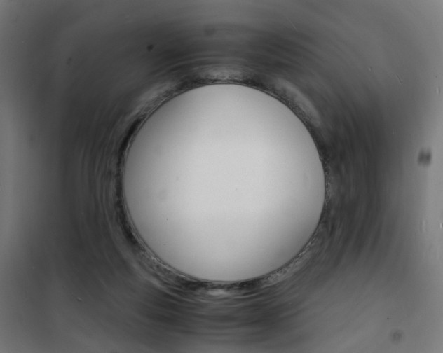 X0000101480163200807071251