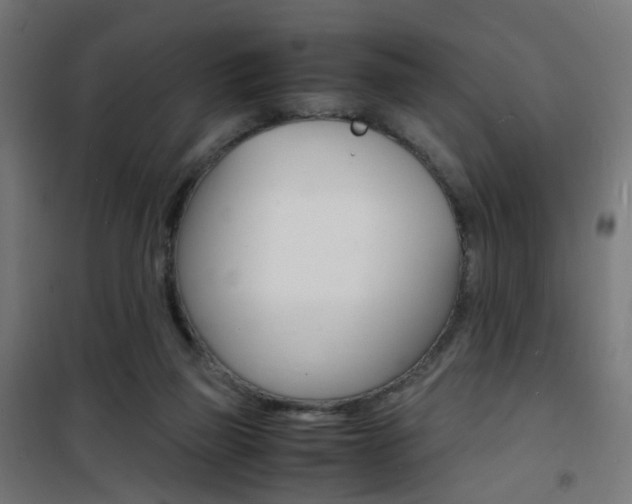 X0000101480165200807071251