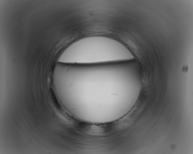X0000101480166200807071251