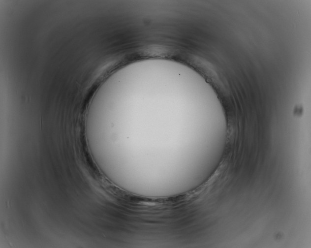 X0000101480167200807071251