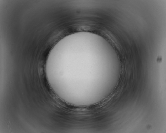 X0000101480169200807071251