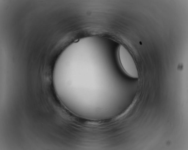 X0000101480170200807071251