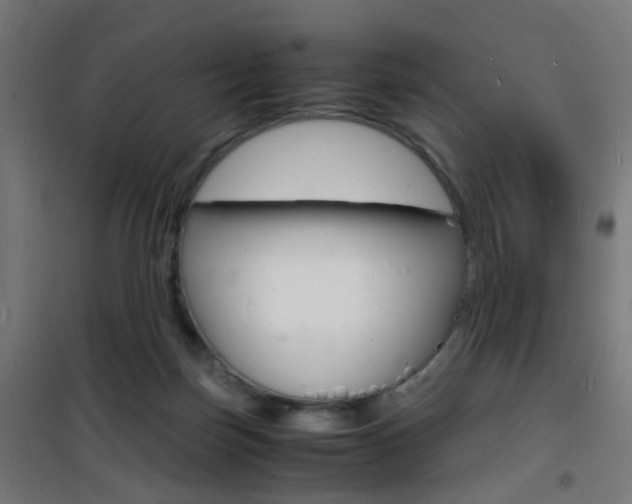 X0000101480171200807071251
