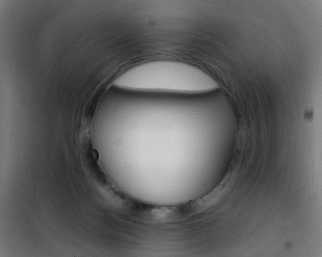 X0000101480172200807071251