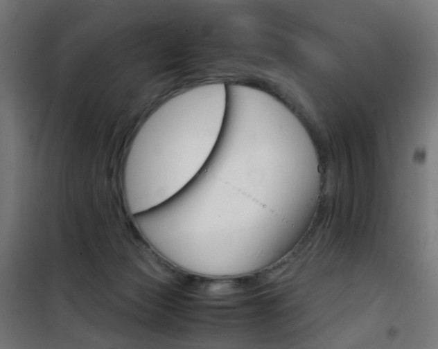 X0000101480173200807071251