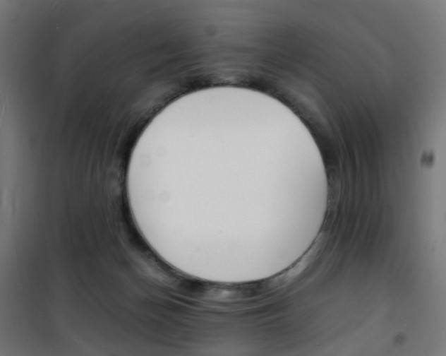 X0000101480174200807071251