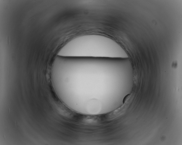 X0000101480175200807071252
