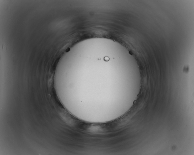 X0000101480177200807071252