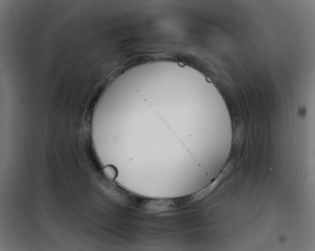 X0000101480179200807071252