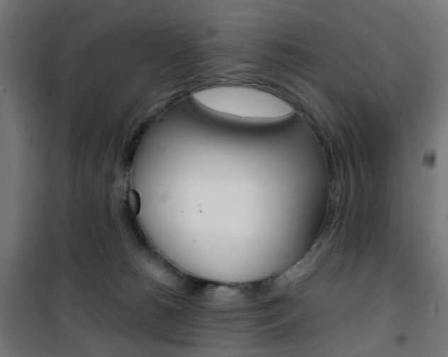 X0000101480180200807071252