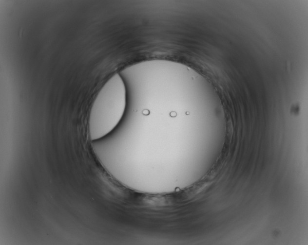 X0000101480181200807071252