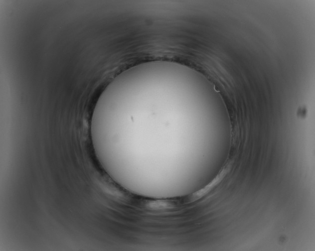 X0000101480183200807071252